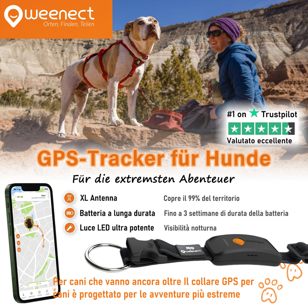 Weenect Hund XT - NEUES GPS-Halsband für Hunde