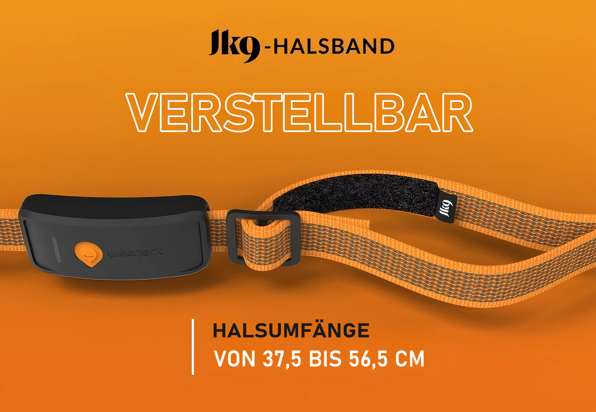 Weenect Hund XT - NEUES GPS-Halsband für Hunde
